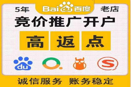 某电商平台的SEM推广策略全解析